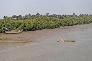 Naigaon Creek